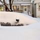 Illustration for article titled Chiberia Rising, in Pictures: Man, Last Nights Blizzard Sure Did Suck